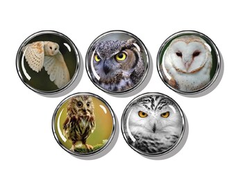 Owls magnet set