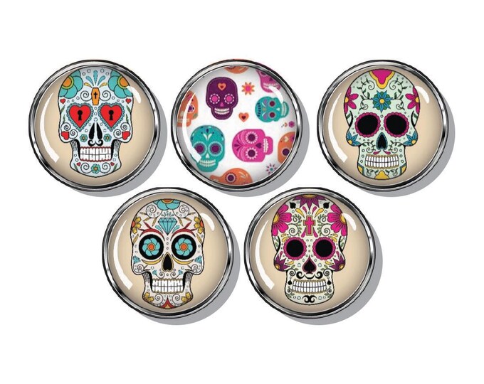skulls, Day of the Dead, set of five magnets