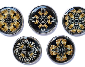 Gold and black patterns, Five magnets