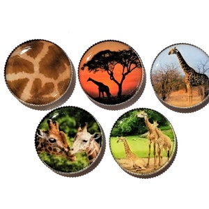 Giraffe fridge magnets, African safari animals, set/5