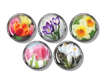 Spring flowers Magnet set