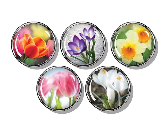 Spring flowers Magnet set