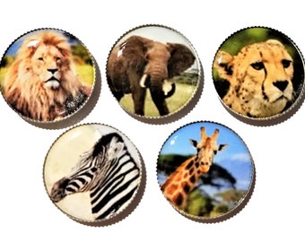 African animals magnets,  set/5