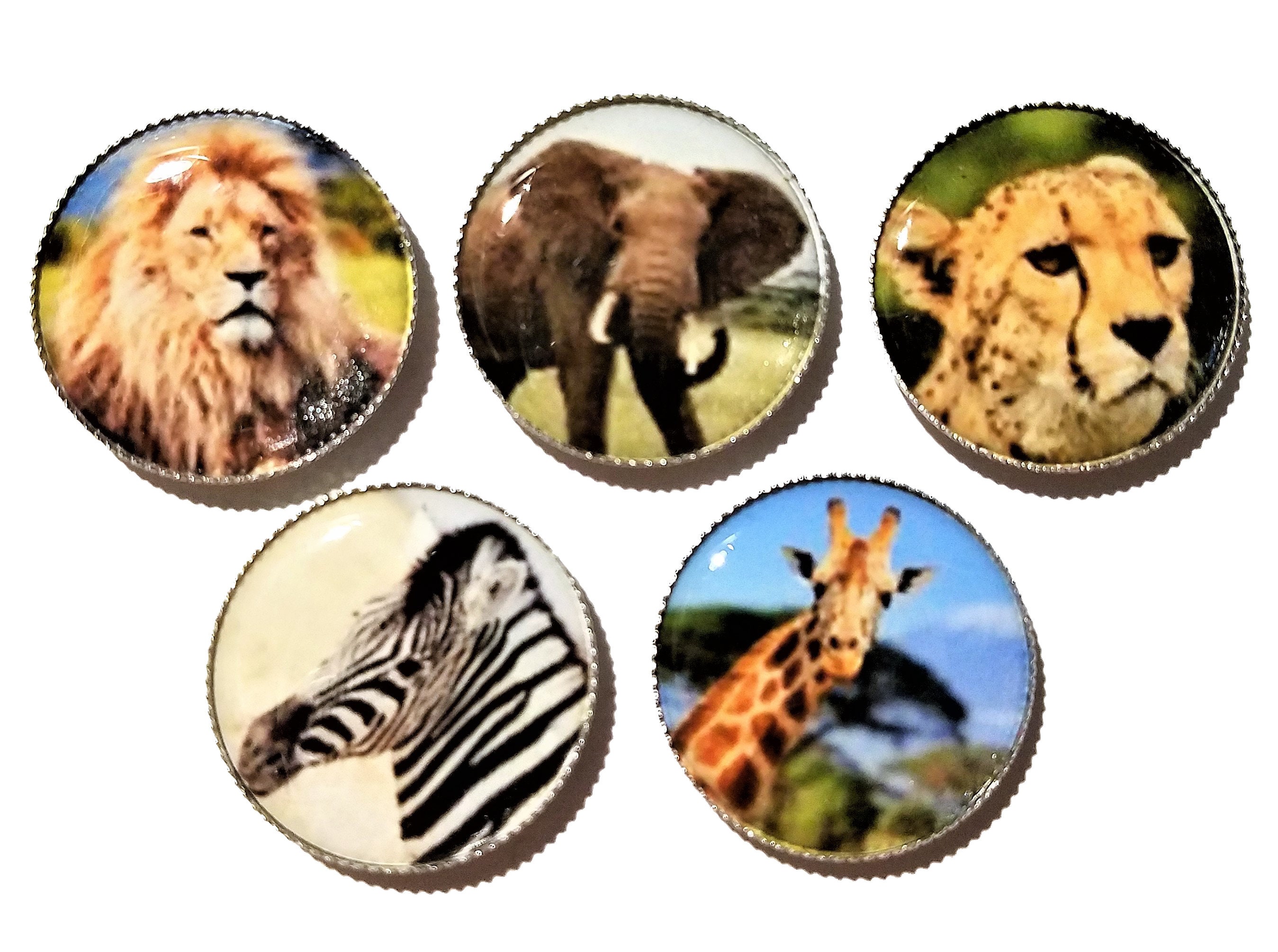 Set of 4 African Animal Magnets