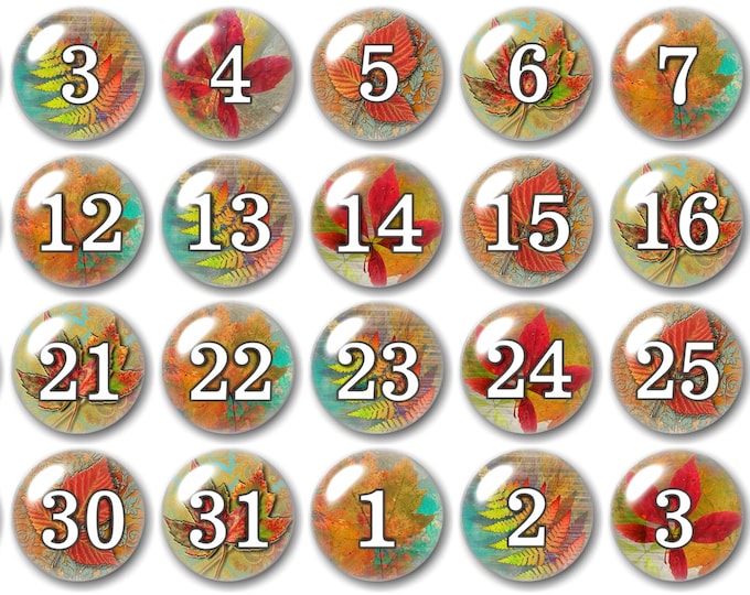 Glass Autumn number magnets, Beautiful for the fall season,  Colored leaves