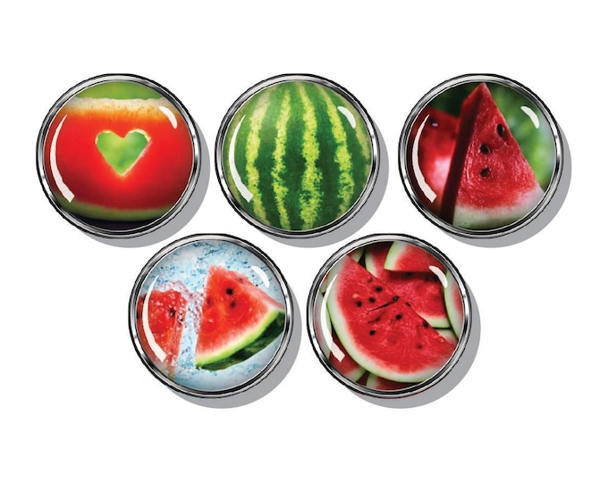 Watermelon magnets set of five