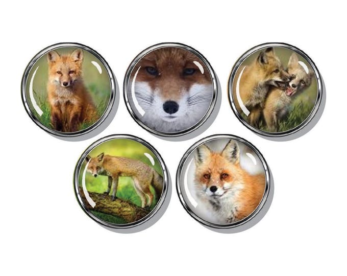Red fox set of five magnets