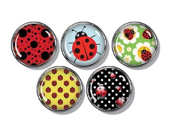 Ladybug magnet set