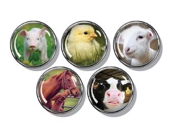 Farm Animals, chick, pig, cow, horse, goat, set of five magnets