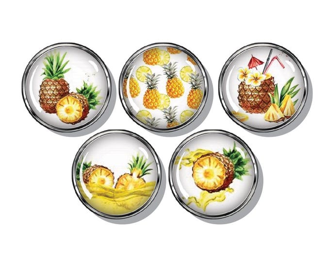 Pineapple magnets, Tropical fruit, Colorful juicy pineapple magnets, set of five