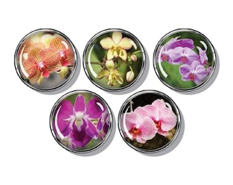 Orchid Flower Magnets: Colorful Fridge Magnets, Set of 5