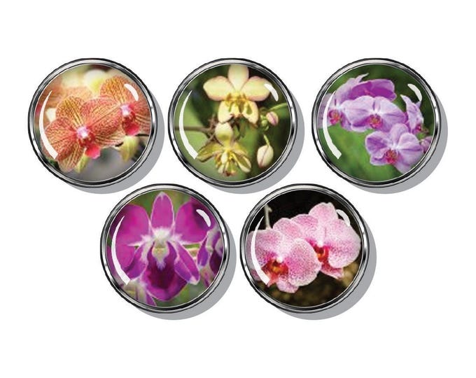 Orchid flowers, pink orchid, cream orchid, orange orchid, set of five magnets