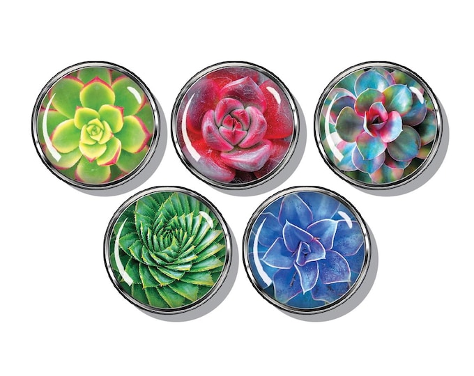 Succulent print cactus magnet set of five