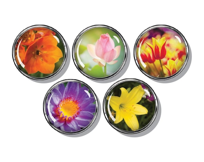Spring flowers set of magnets