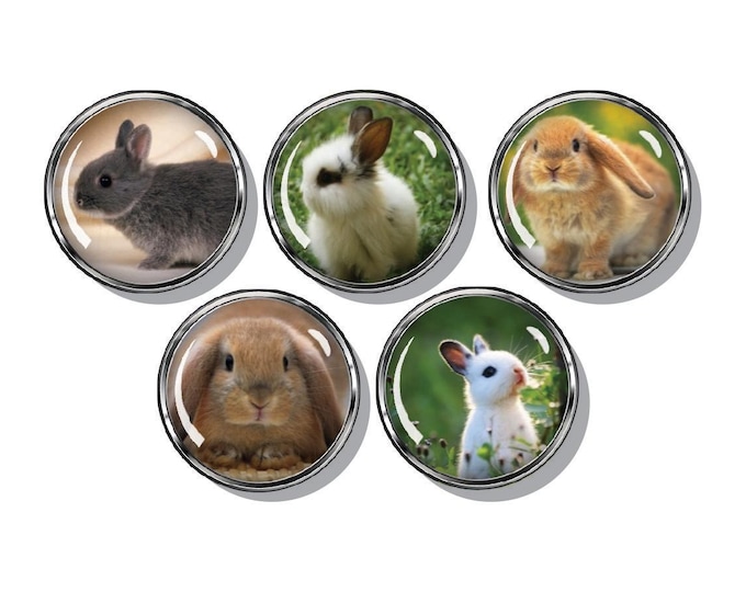 Bunny magnets, rabbit, baby bunnies, set of five magnets