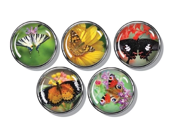 Butterfly magnets set of five strong magnets