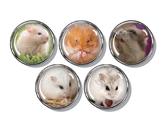 Hamster, Magnets, 5/set