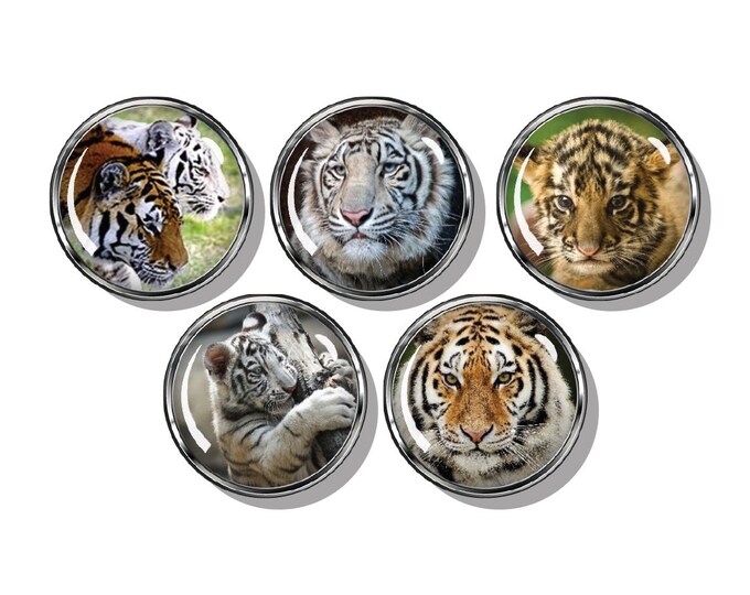 Tigers and cubs magnets