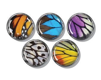 Butterfly wings close up of multi-colored, Butterflies set of five magnets