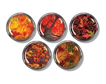 Fall leaves, autumn, seasons, set of five magnets