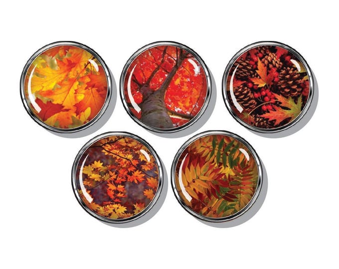 Fall leaves, autumn, seasons, set of five magnets