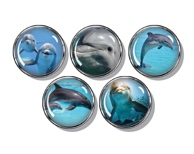 Dolphin magnets, Marine life, Coastal living