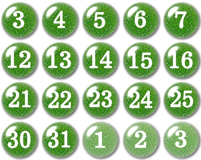 Glass calendar number magnets, Green leaf, Amazing looking!