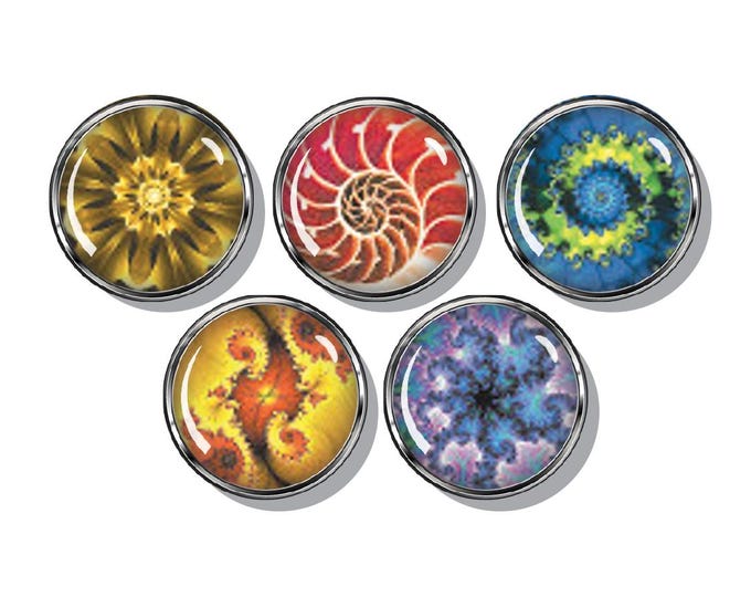 Nautilus Fractal colorful magnets, set of five