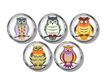 Colorful owls magnet set