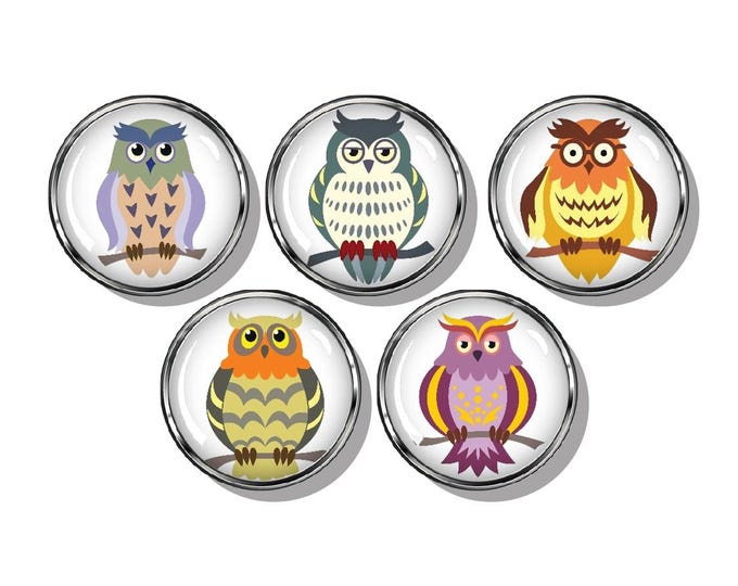 Colorful owls magnet set