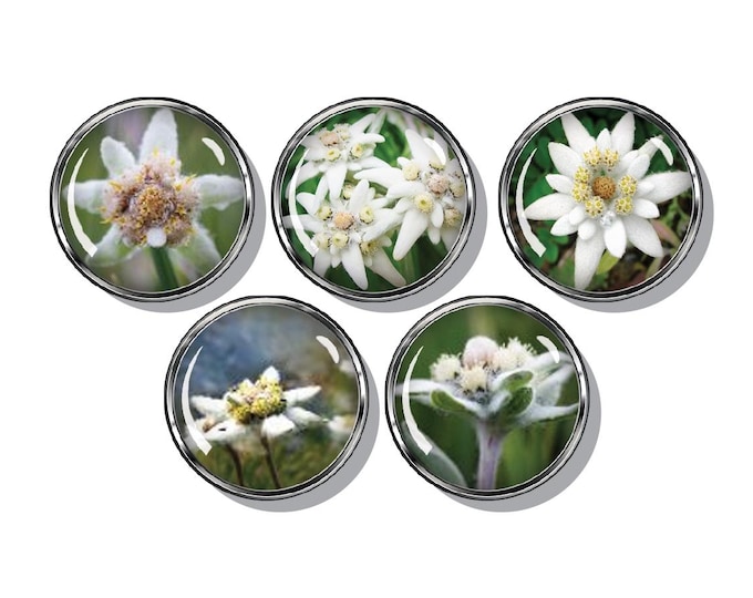 Edelweiss magnet set