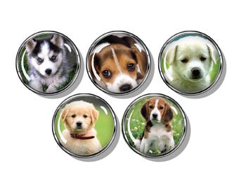 Puppy magnets, Husky, Golden retriever, Beagle, lab,
