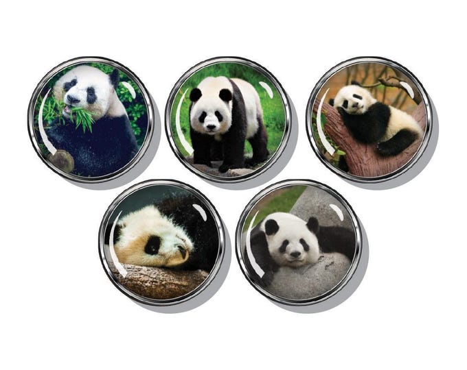 Panda Bears magnet set