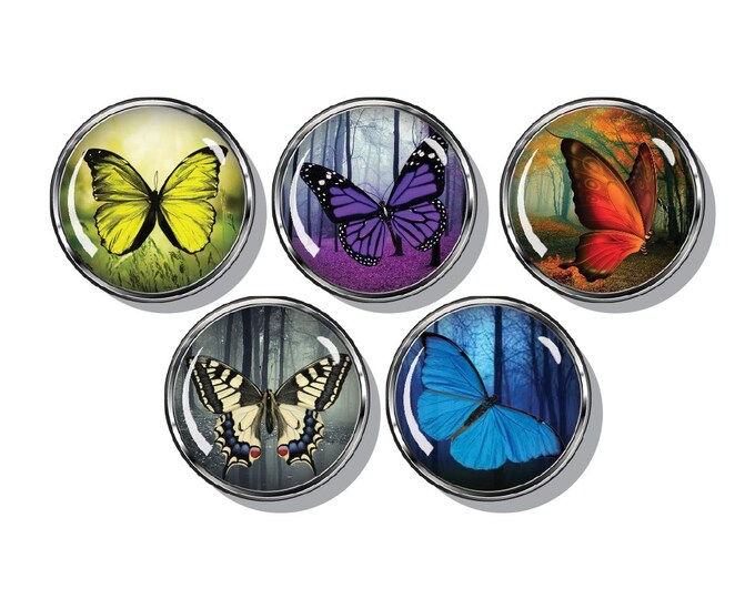 Butterflies in the forest magnet set