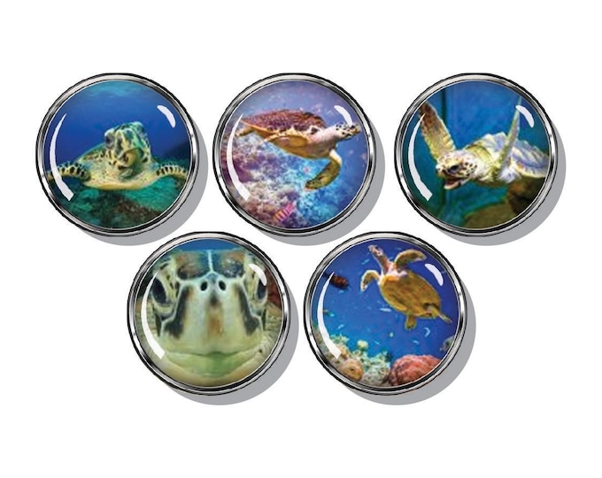Turtle magnets, Sea turtles, set of five magnets