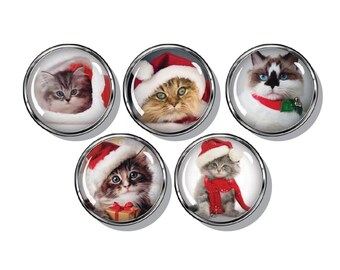 Kittens and cats Christmas magnets