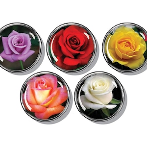 Colorful roses magnet set of 5
