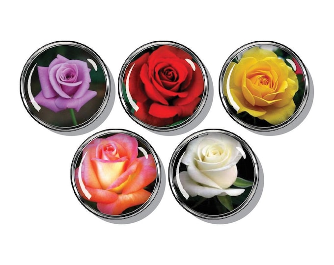 Colorful roses magnet set of 5