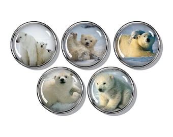 Polar Bears set of five magnets