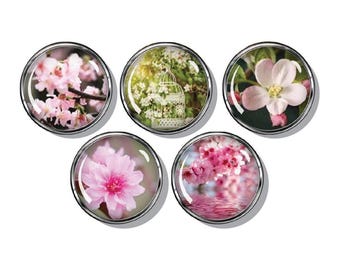 Apple Blossoms magnets set, spring flowers, pink flowers, five magnets