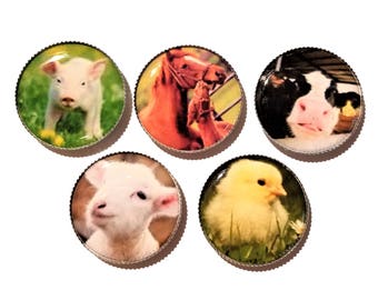 Farm Animal magnets set