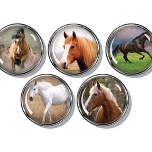 Horse Magnets , 5 per set