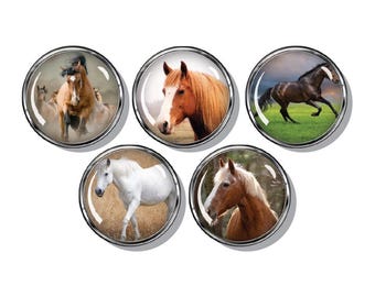 Horse Magnets , 5 per set