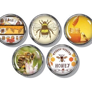 Bee magnets, honey, bumble bee, set of five magnets
