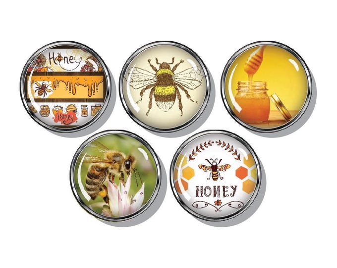 Bee magnets, honey, bumble bee, set of five magnets
