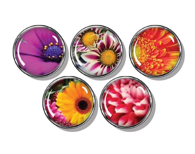 Flowers in close up detail magnets, Magnets, Daisy