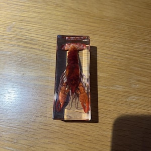 May include: A rustic wooden sign with the text "Welcome to our home" in white lettering. The sign features a distressed finish and a simple, inviting design, perfect for front door decor.