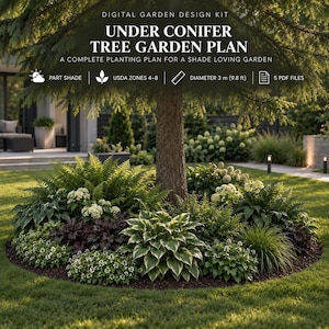 Può includere: Un kit di progettazione digitale per giardini intitolato Under Conifer Tree Garden Plan, un piano di piantagione completo per un giardino in ombra. Include mezz'ombra, zone USDA 4-8, un diametro di 3 m e 5 file PDF per una base di conifere.