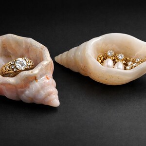 Peut inclure: Deux coquillages utilisés comme présentoirs à bijoux sur une surface noire. L'un contient une bague en or avec une grosse pierre centrale transparente et de plus petites pierres. L'autre contient un collier en or, des boucles d'oreilles et deux perles.