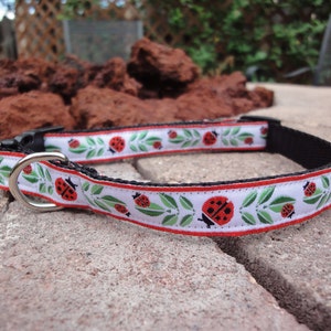 5/8" Width Dog Collar - Ladybugs